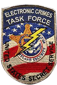 Electronic Crimes Task Force organization